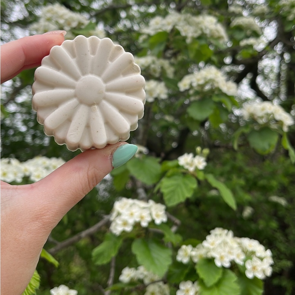 Dazzling Daisy Soaps  🌸